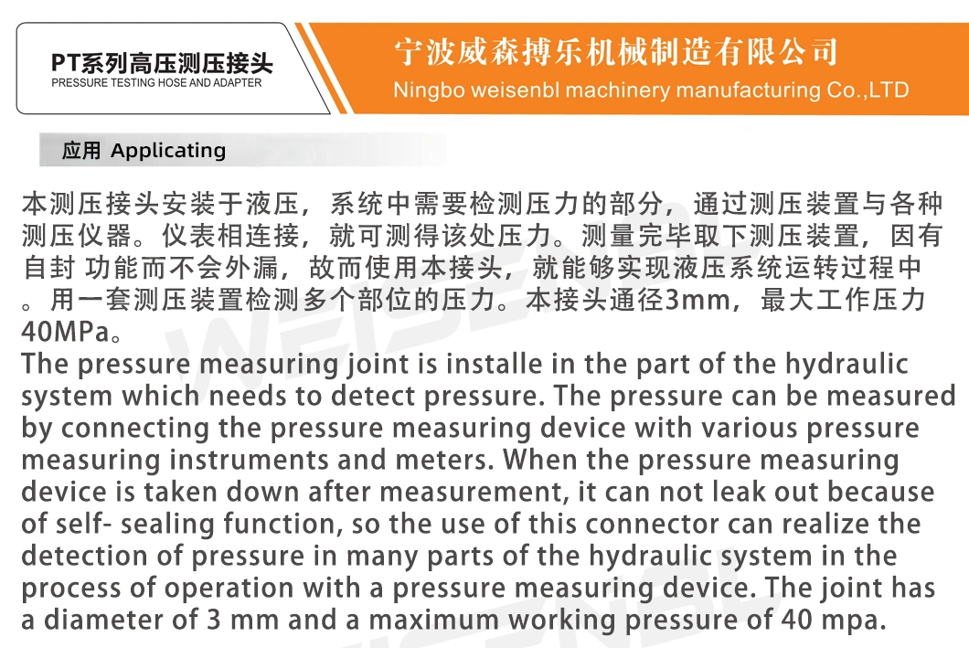 PT Series Hydraulic Hose Pressure Testing Gauge Test Hose Adapter